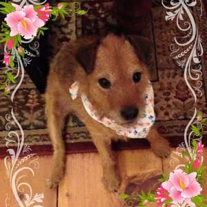 Meet your Posher, Michele